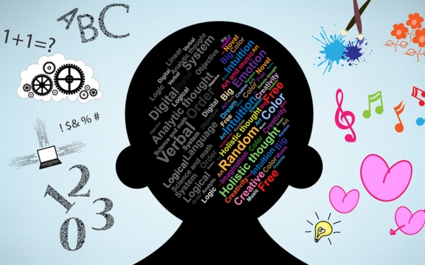 Principles for Improving Executive Skills