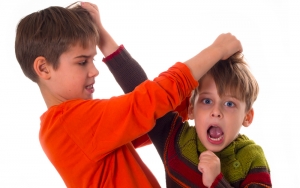 Intimate Enemies: Sibling Rivalry