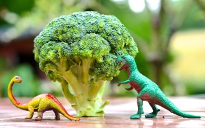 Picky Eating and Autism
